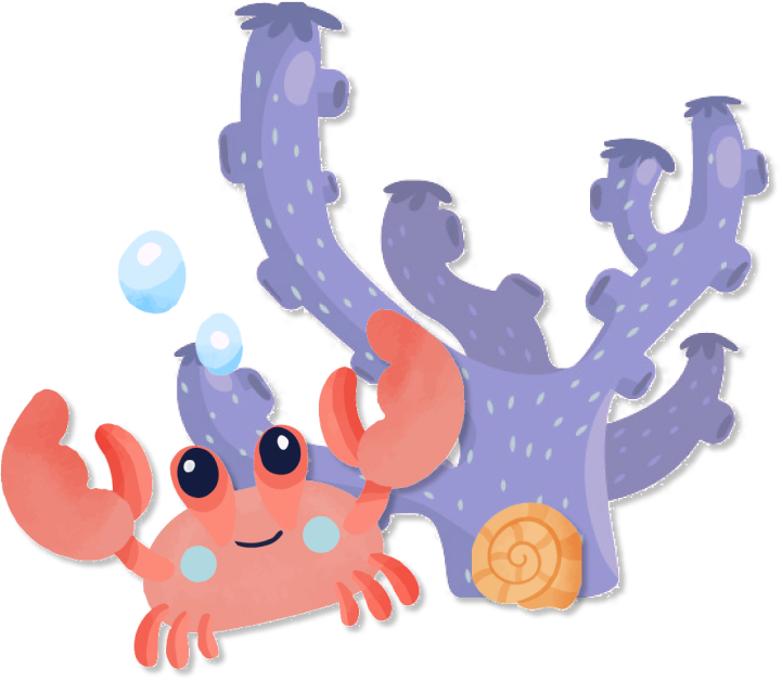 corals and fishes